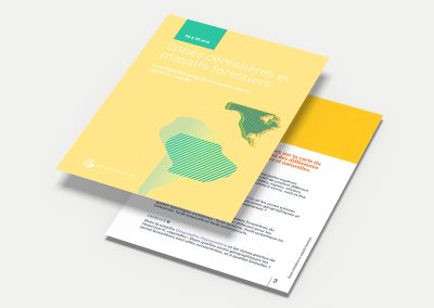 Les régions céréalières du monde